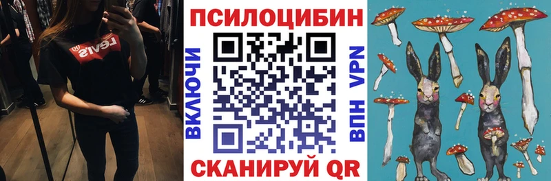 Галлюциногенные грибы прущие грибы Котельнич